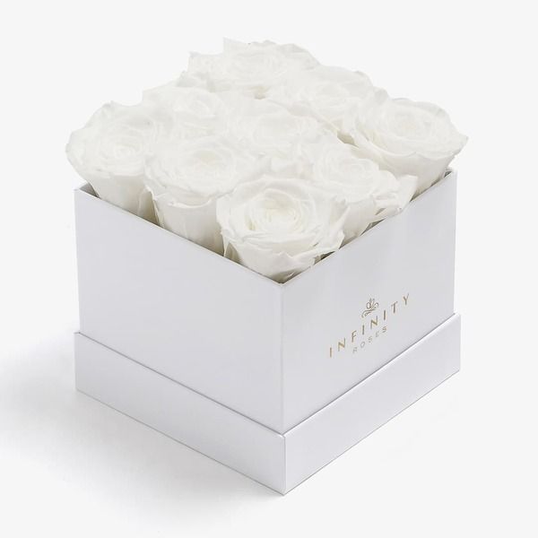 Cubed Box (pack of 3)