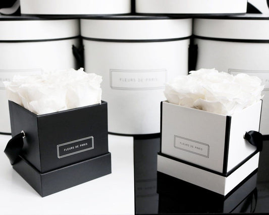 Cubed Box (pack of 3)